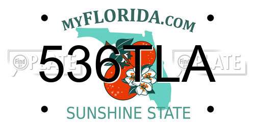 536TLA Florida License Plate