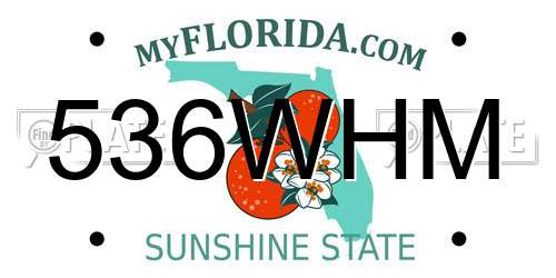 536WHM Florida License Plate