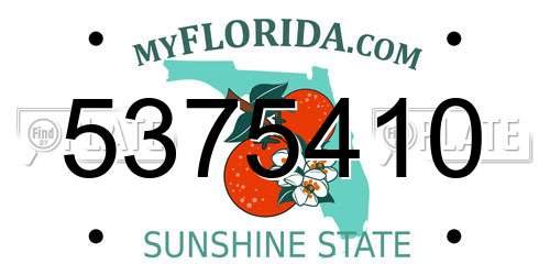 5375410 Florida License Plate