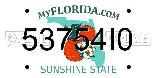 53754I0 Florida License Plate