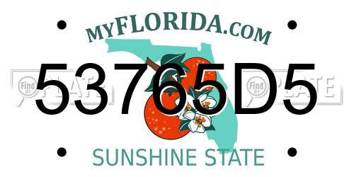 53765D5 Florida License Plate