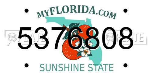 5376808 Florida License Plate