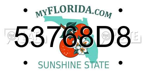 53768D8 Florida License Plate