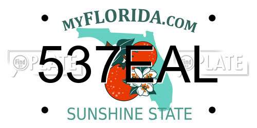 537EAL Florida License Plate