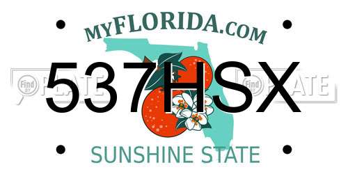 537HSX Florida License Plate