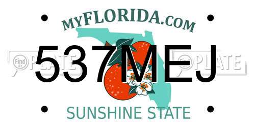 537MEJ Florida License Plate