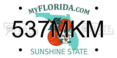 537MKM Florida License Plate