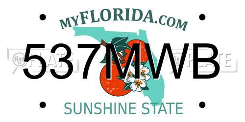 537MWB Florida License Plate