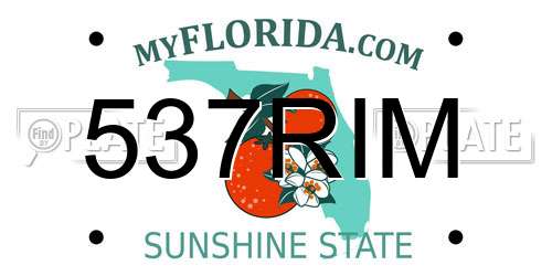 537RIM Florida License Plate