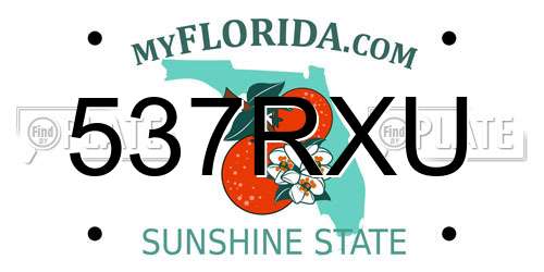 537RXU Florida License Plate