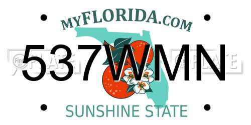 537WMN Florida License Plate