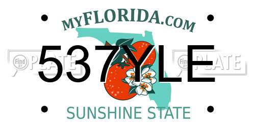 537YLE Florida License Plate