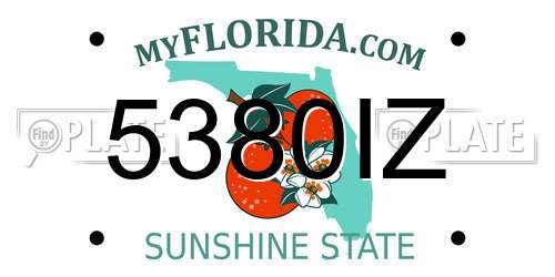 5380IZ Florida License Plate