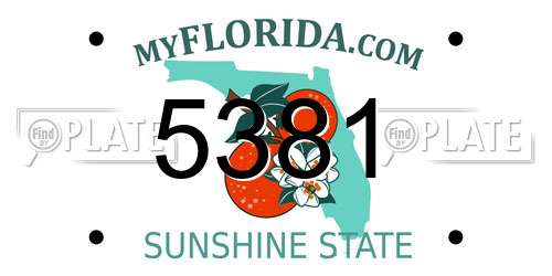 5381 Florida License Plate