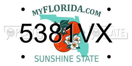 5381VX Florida License Plate