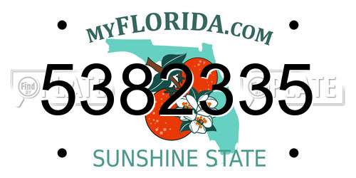 5382335 Florida License Plate