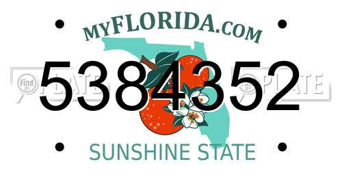 5384352 Florida License Plate