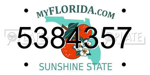 5384357 Florida License Plate