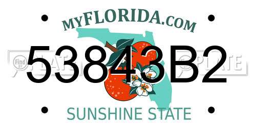 53843B2 Florida License Plate