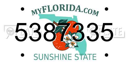 5387335 Florida License Plate