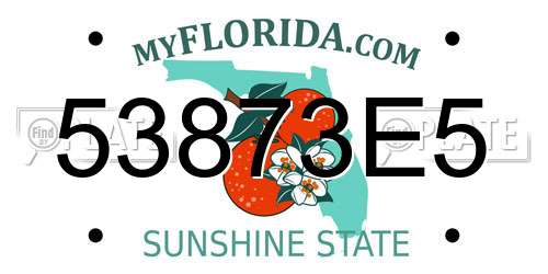 53873E5 Florida License Plate