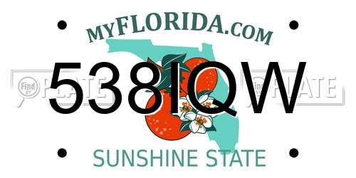 538IQW Florida License Plate