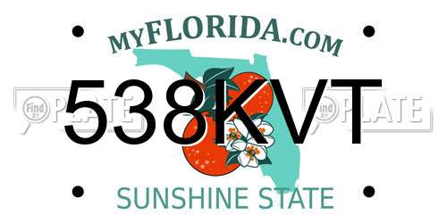 538KVT Florida License Plate