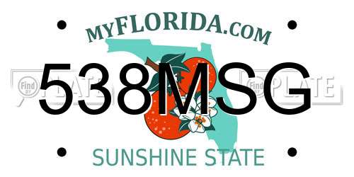 538MSG Florida License Plate