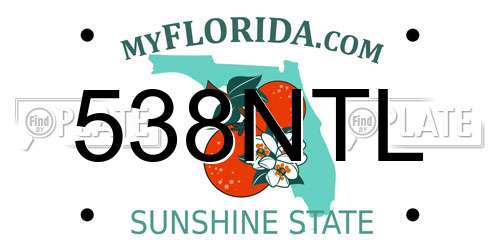 538NTL Florida License Plate