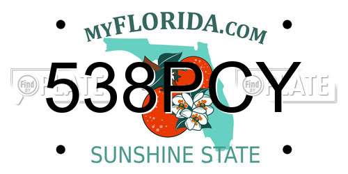 538PCY Florida License Plate