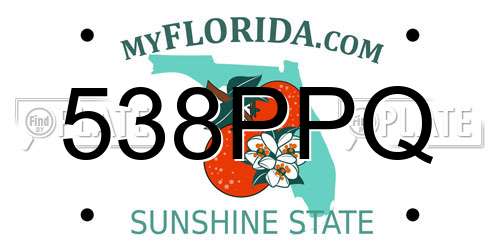 538PPQ Florida License Plate