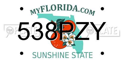 538PZY Florida License Plate
