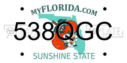 538QGC Florida License Plate
