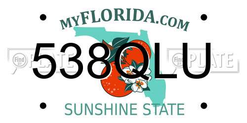 538QLU Florida License Plate