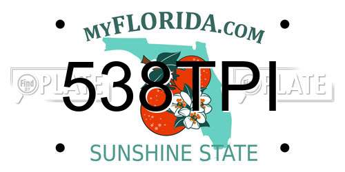 538TPI Florida License Plate