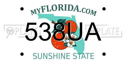 538UA Florida License Plate