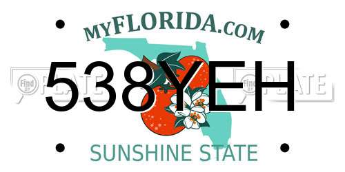 538YEH Florida License Plate