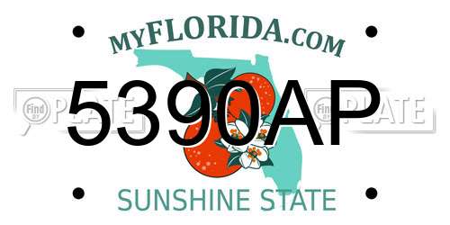 5390AP Florida License Plate
