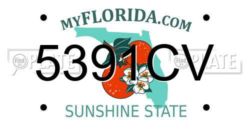 5391CV Florida License Plate