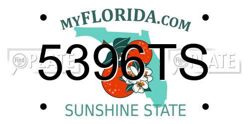 5396TS Florida License Plate