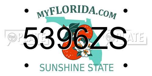 5396ZS Florida License Plate