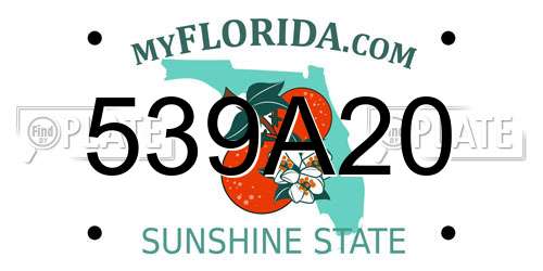 539A20 Florida License Plate