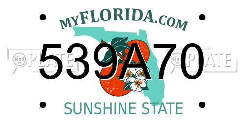 539A70 Florida License Plate