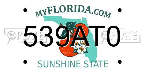 539AT0 Florida License Plate