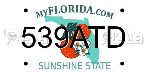 539ATD Florida License Plate