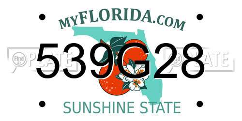 539G28 Florida License Plate