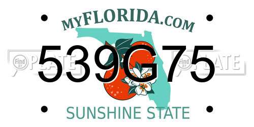 539G75 Florida License Plate