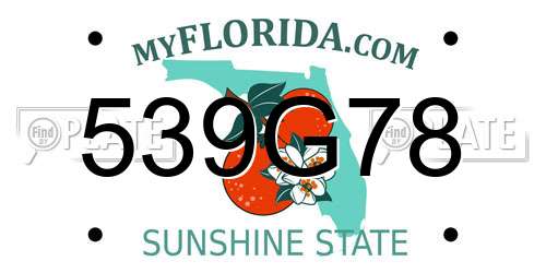 539G78 Florida License Plate