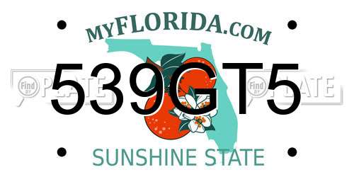 539GT5 Florida License Plate