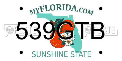 539GTB Florida License Plate